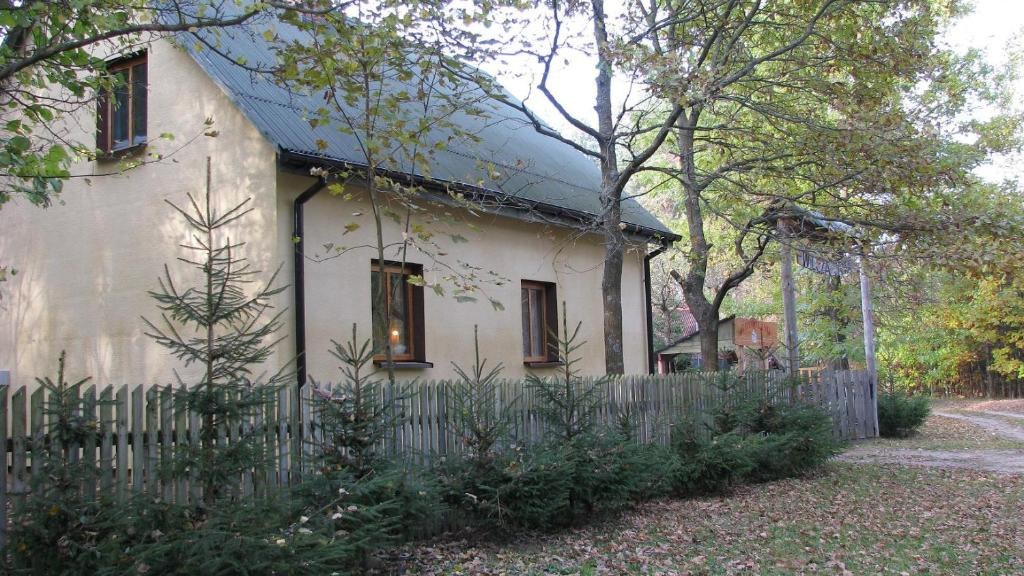 Dom Wilcza Jama wśród drzew